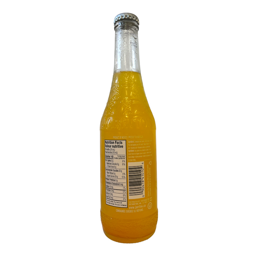 Jarritos Mango 370ml